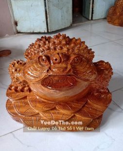 cóc thiềm thừ gỗ cate